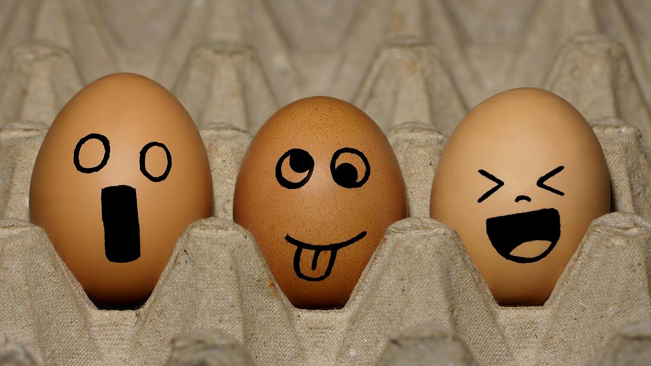 Artikelbild
