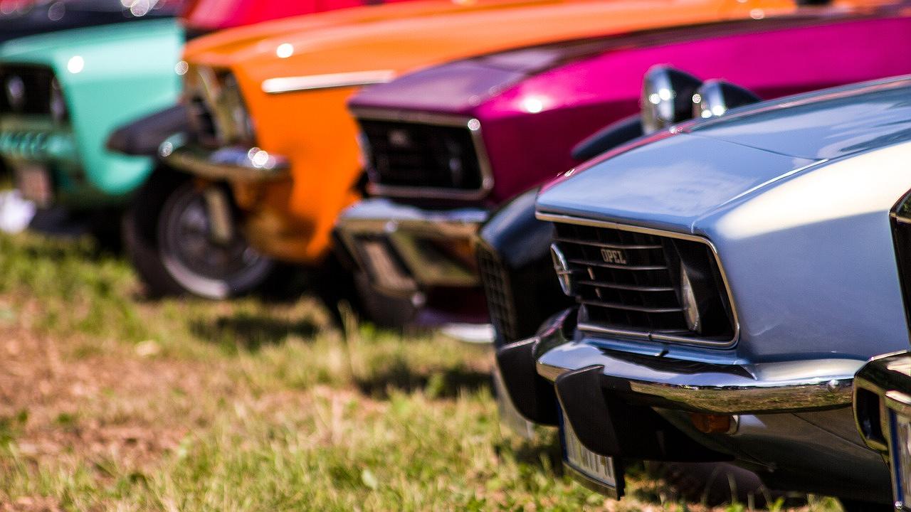 Alte Schönheiten auf der Schauwiese.