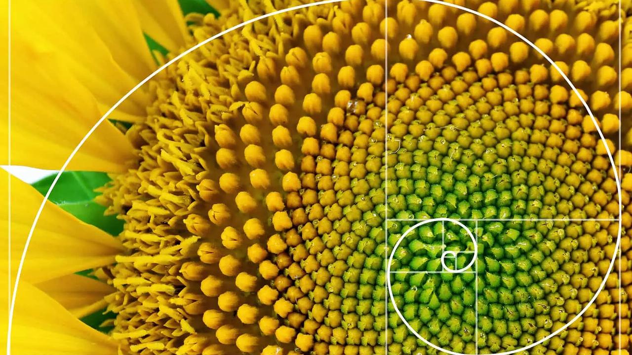 Fibonacci