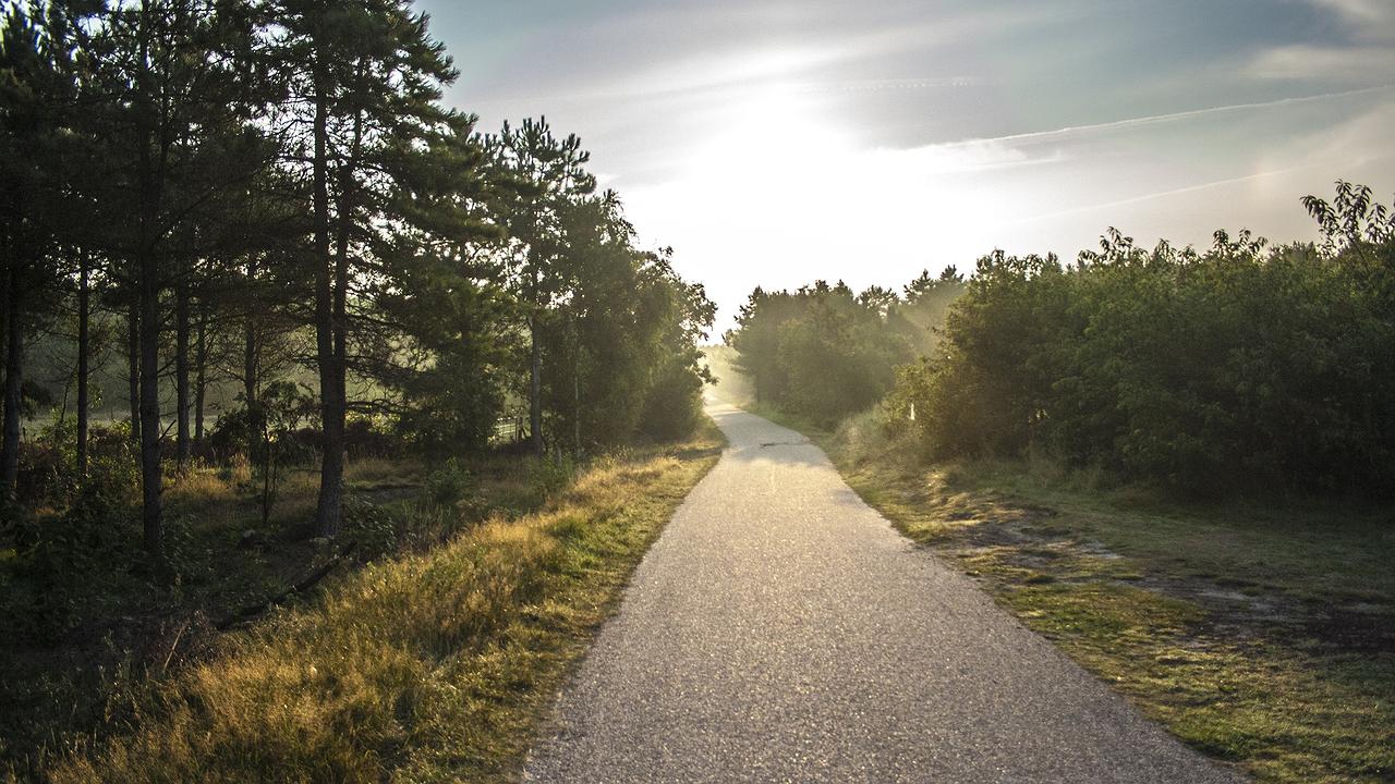 Idyllischer Weg am Morgen, von Ihnen mitbezahlt